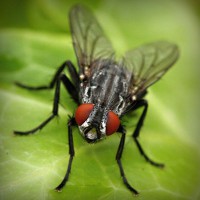 /album/electricos-la-primera/photolia-a01-jpg/