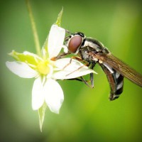 /album/electricos-la-primera/photolia-a02-jpg/