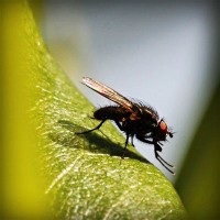 /album/electricos-la-primera/photolia-a04-jpg/