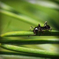 /album/electricos-la-primera/photolia-a05-jpg/