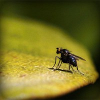 /album/electricos-la-primera/photolia-a07-jpg/